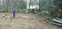 Septic field